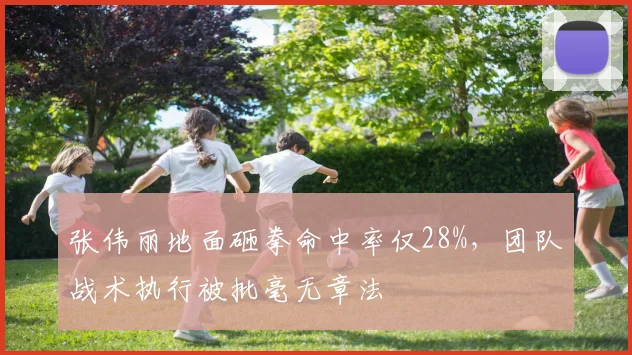 张伟丽地面砸拳命中率仅28%,团队战术执行被批毫无章法
