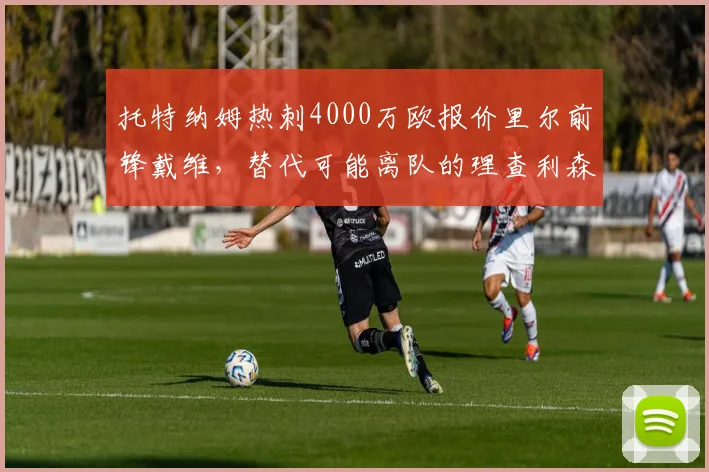 托特纳姆热刺4000万欧报价里尔前锋戴维，替代可能离队的理查利森
