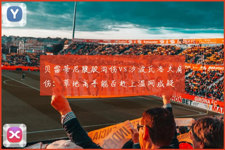 贝雷蒂尼腹股沟伤vs沙波瓦洛夫肩伤:草地高手能否赶上温网成疑
